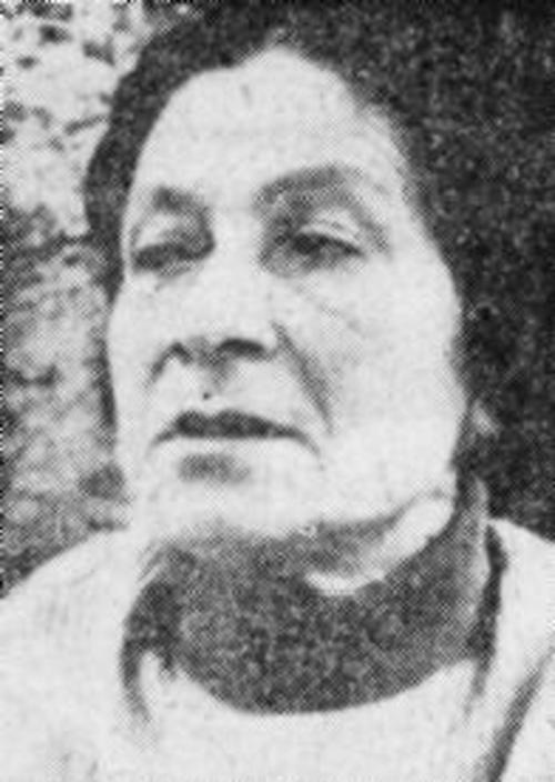 Eva Lippold