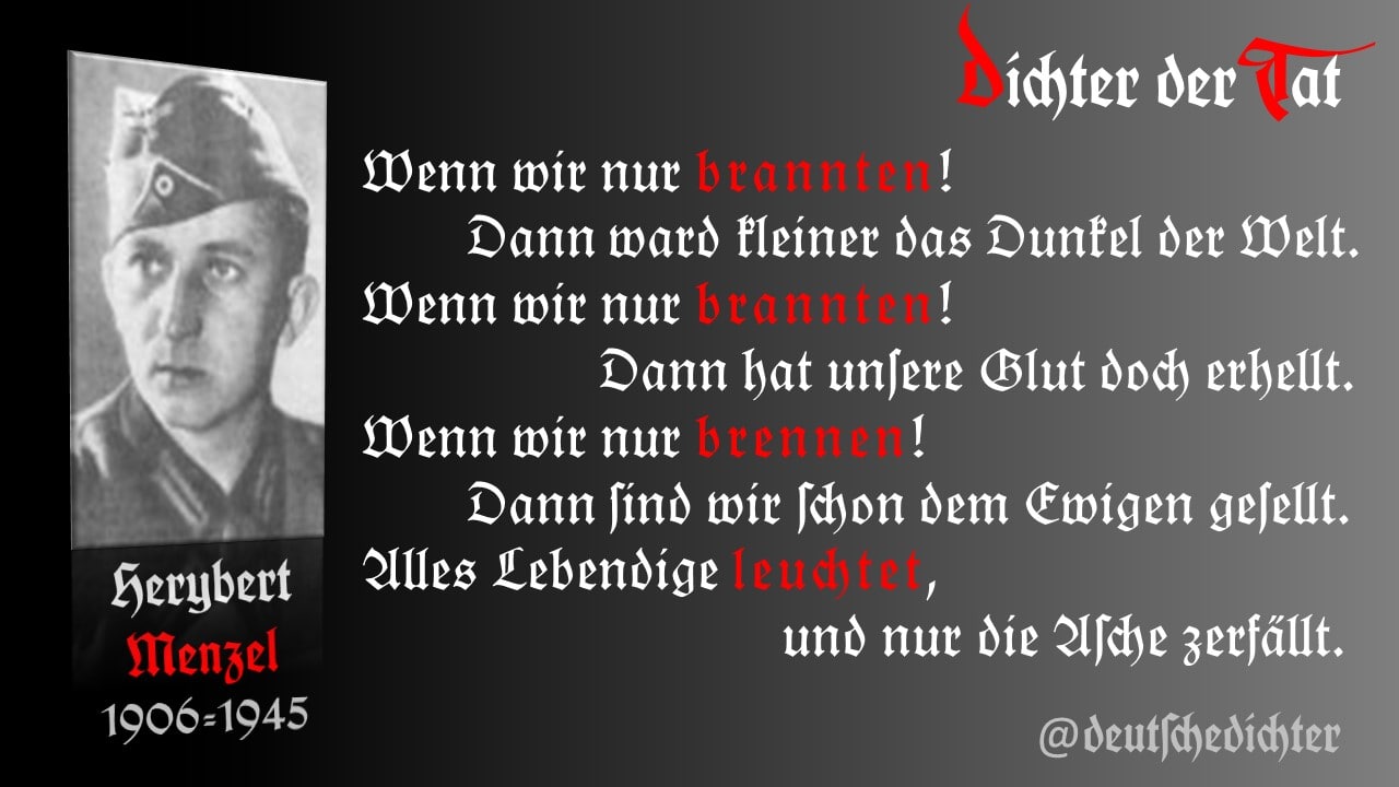 Medienbeitrag