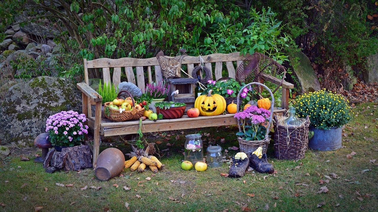 Herbstgeflüster