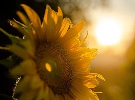 Sonnenkraft