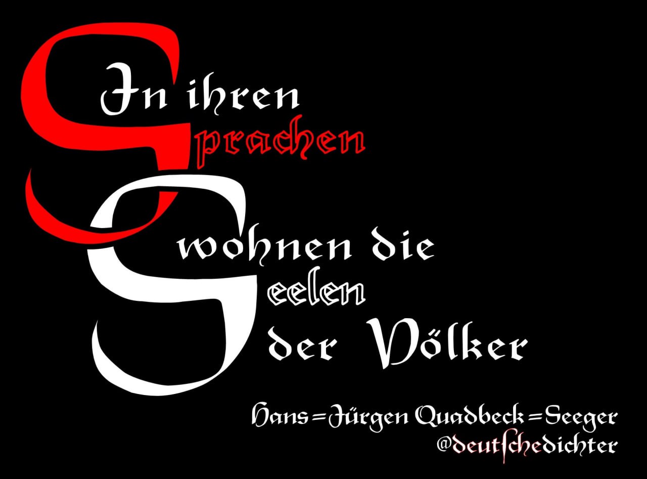 Medienbeitrag