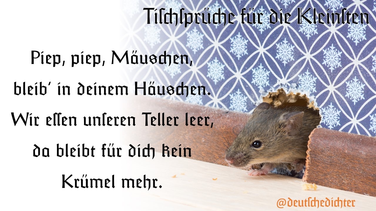Dichtung am 2023-03-05