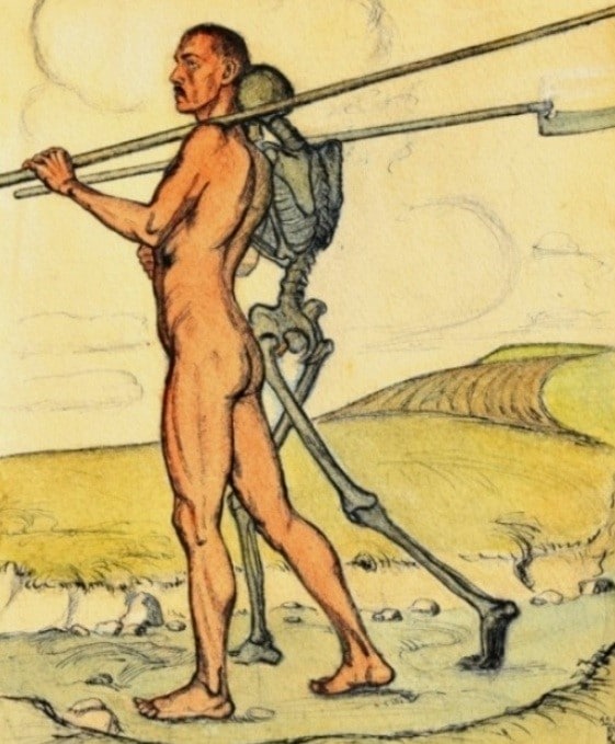 Der Kampf um's Dasein