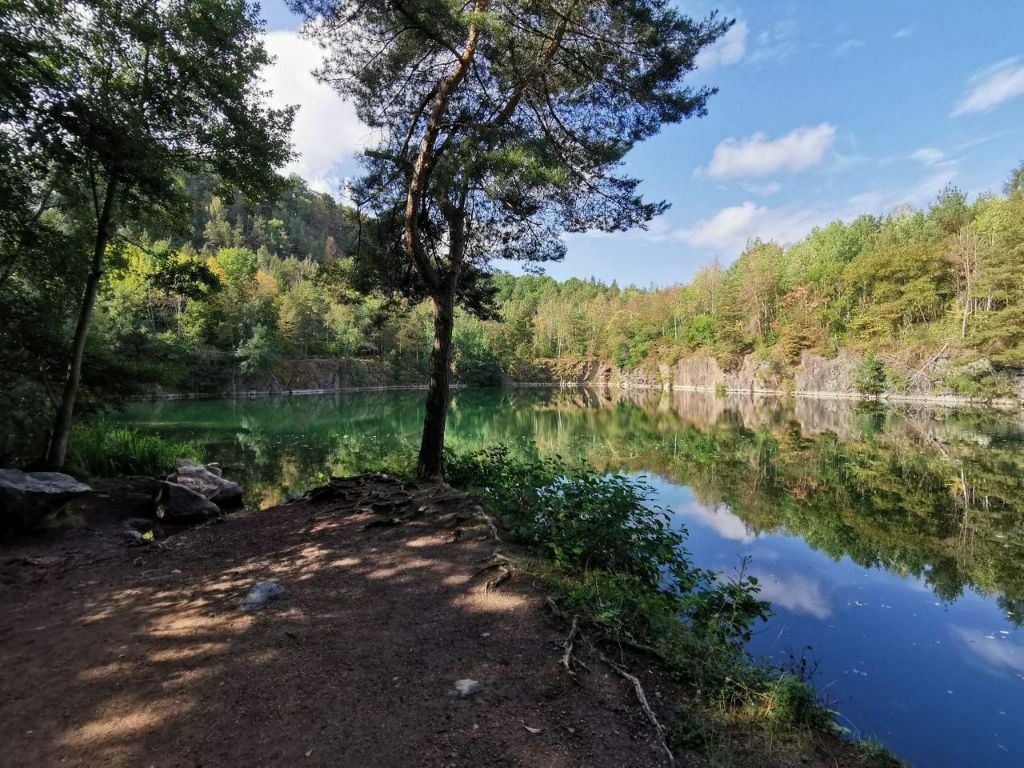 Nur eine Stunde im grünen Wald