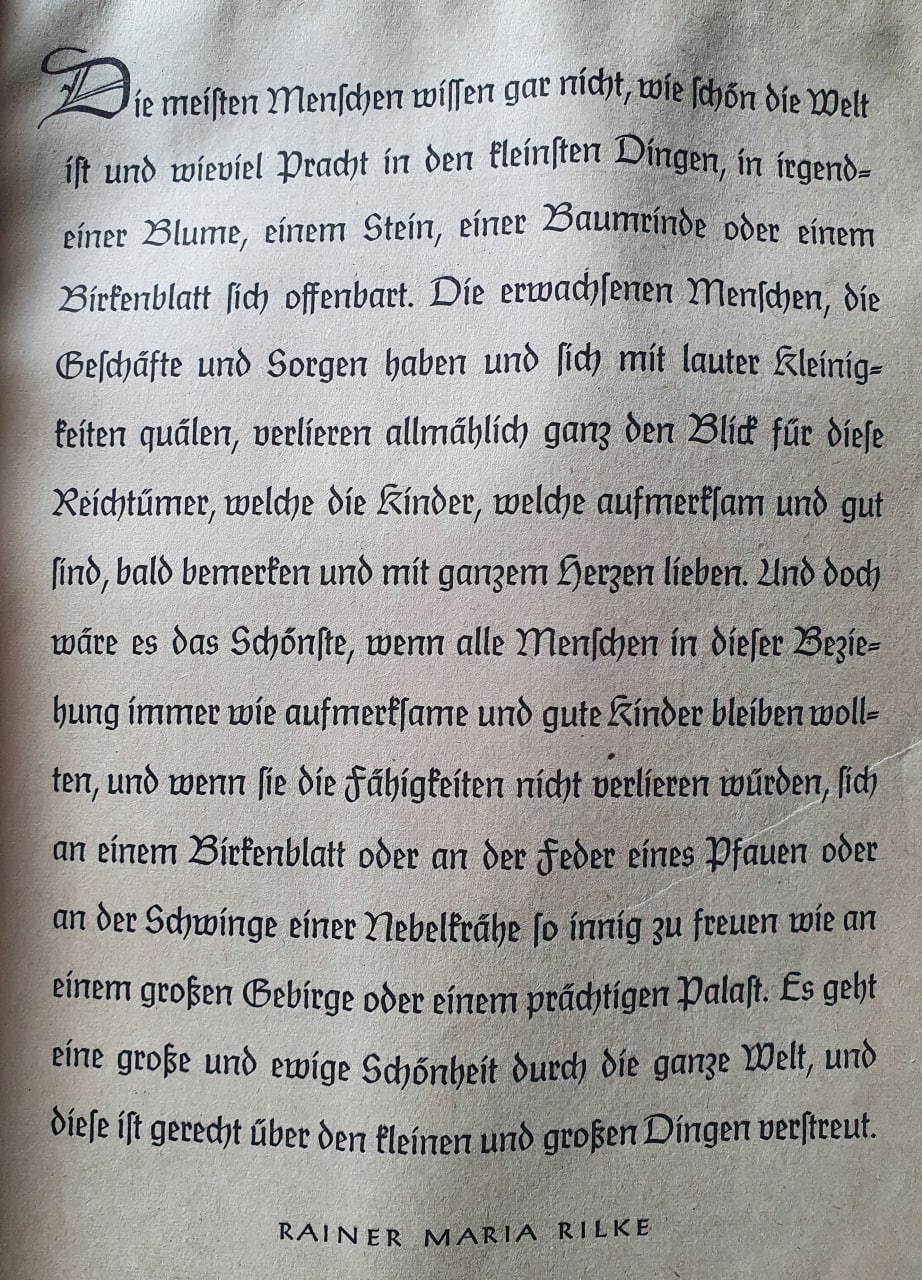 Rilke am 2023-02-12