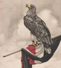 Fliegender Adler