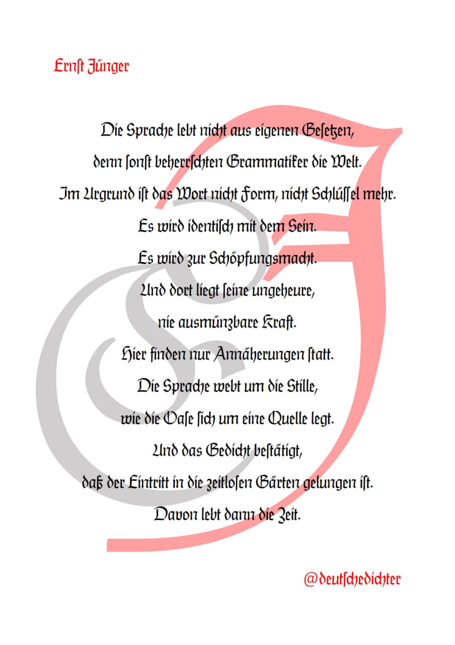 Medienbeitrag