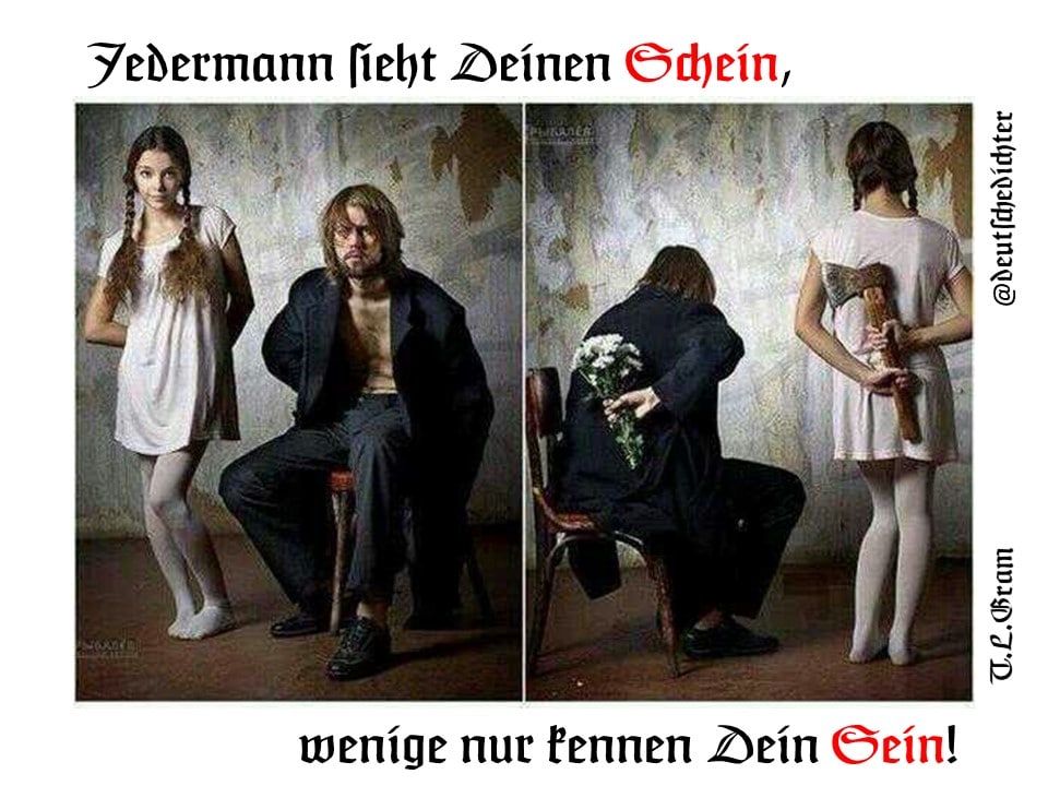 Medienbeitrag