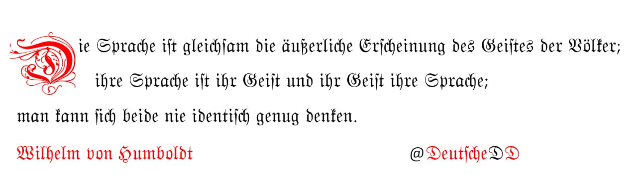 Medienbeitrag