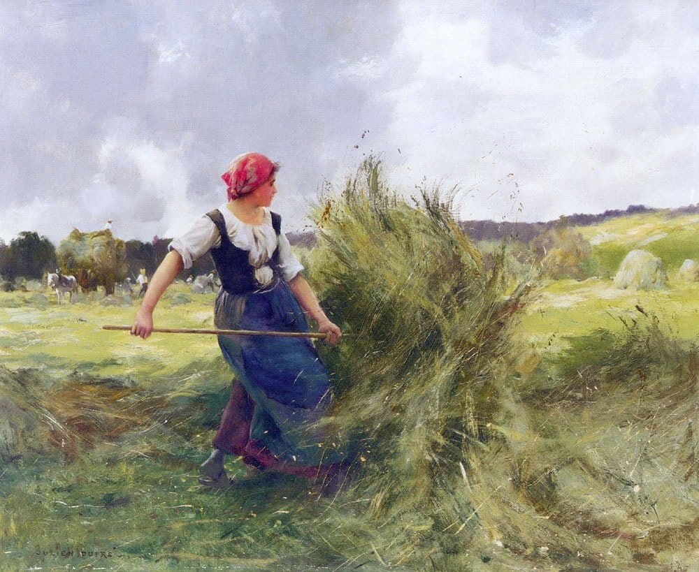 Ernte und Saat