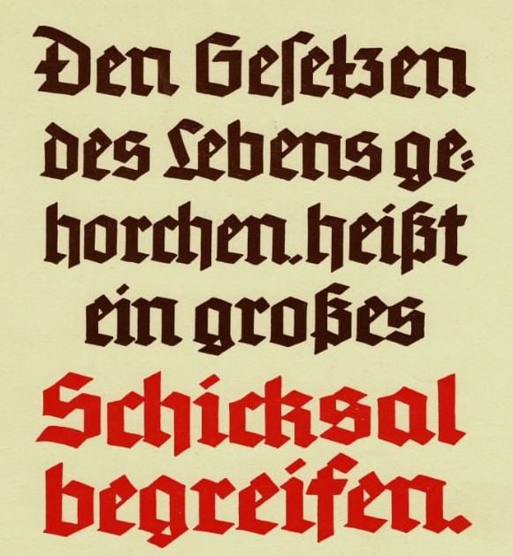 Dichtung am 2025-03-10