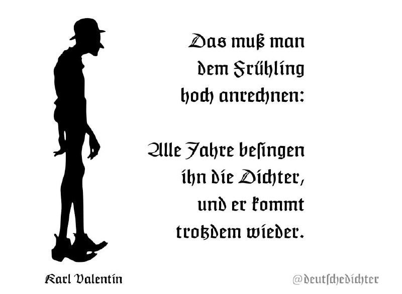 Medienbeitrag