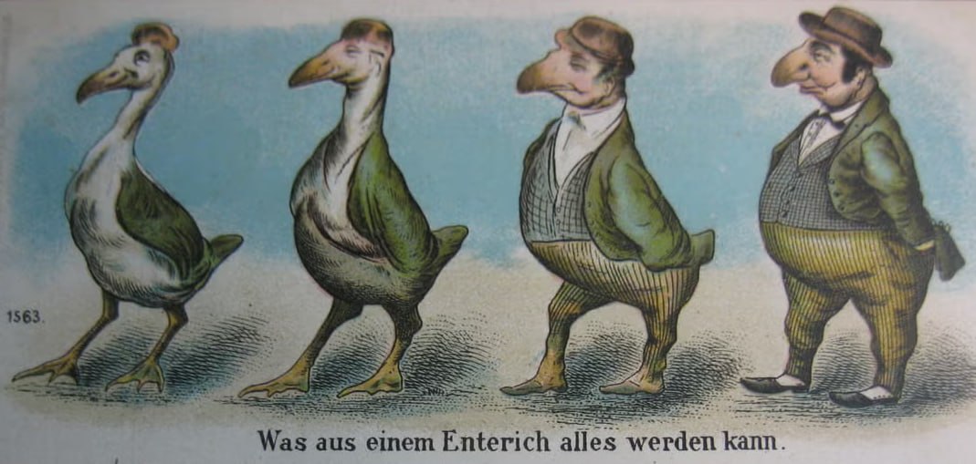 Theodor Körner am 2026-07-08