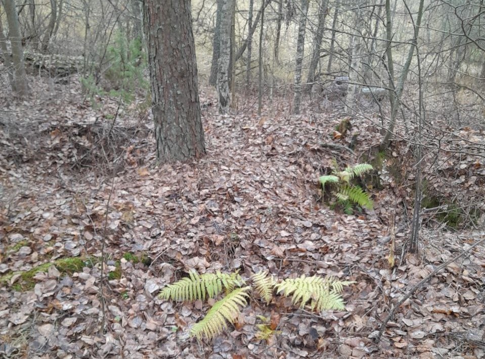 Irgendwo im Osten