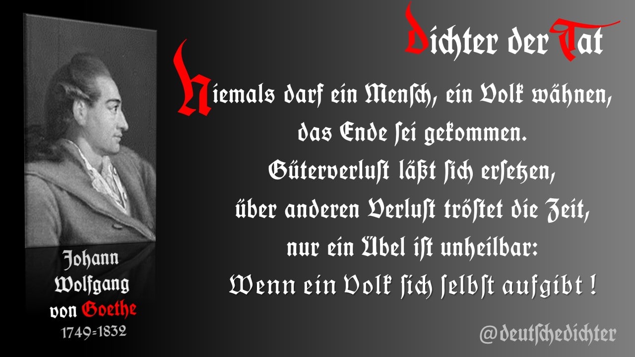 Medienbeitrag