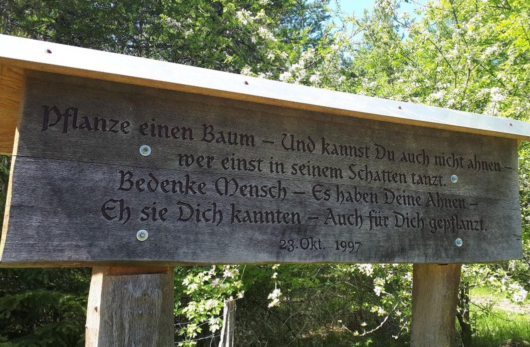 Max Bewer am 2021-07-06