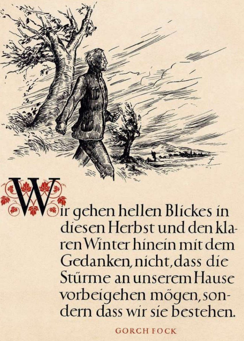 Dichtung am 2024-11-13