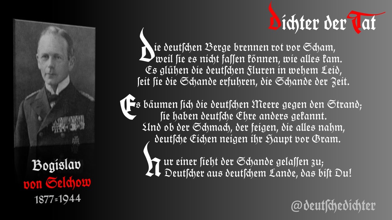 Medienbeitrag