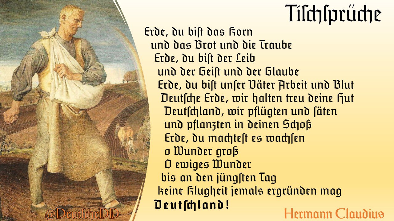 Medienbeitrag