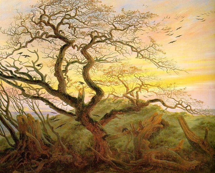 Krähen auf einem Baum