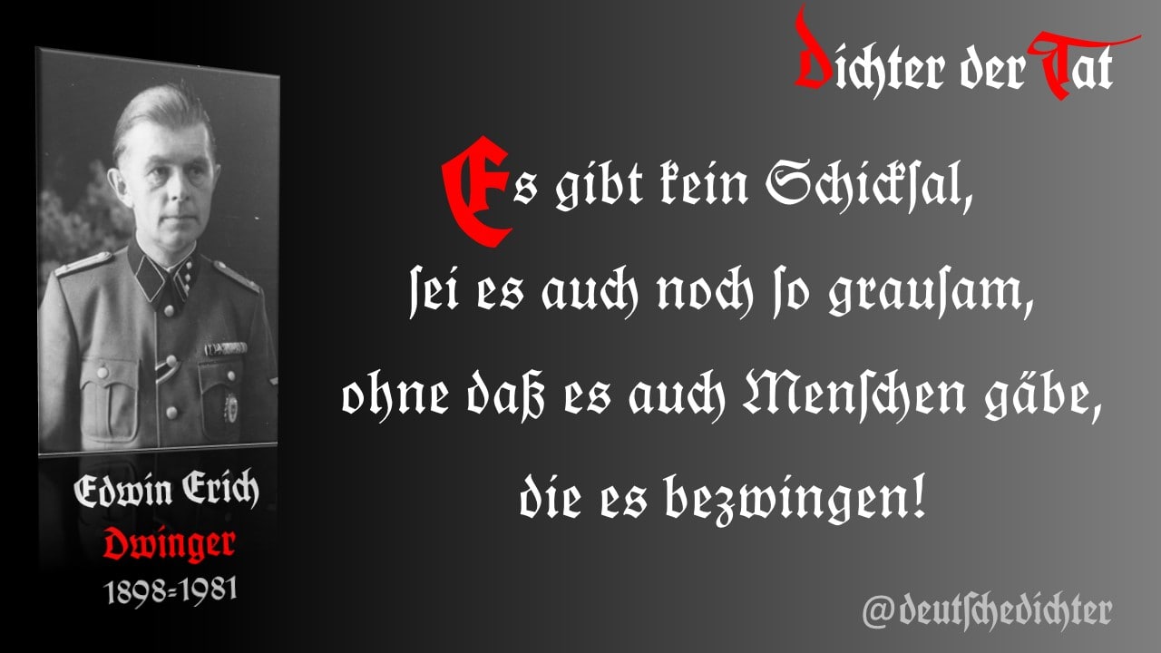Medienbeitrag