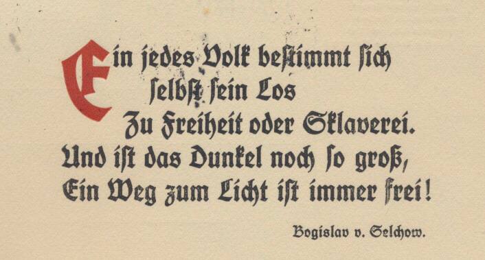 Medienbeitrag
