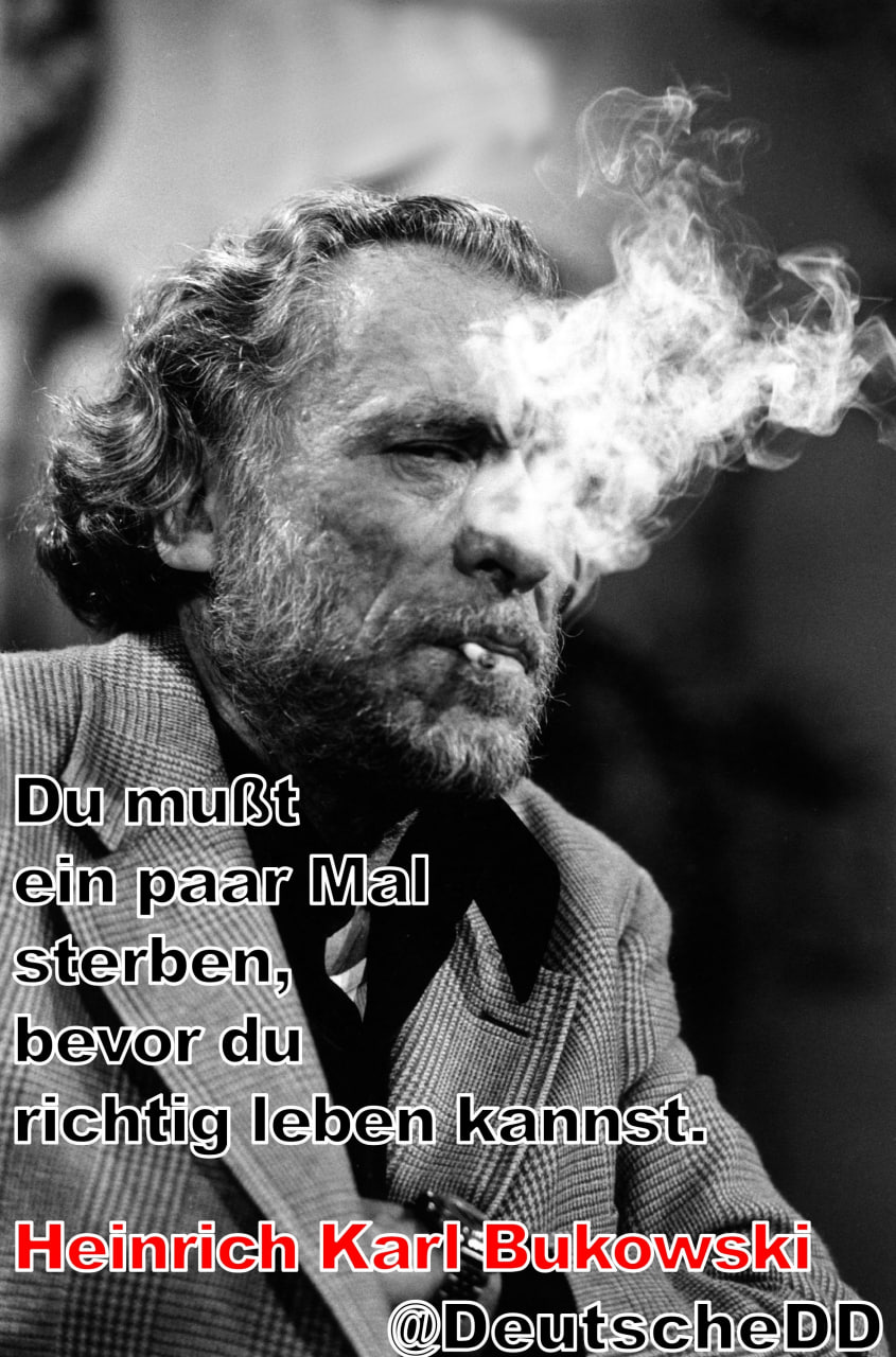 Medienbeitrag