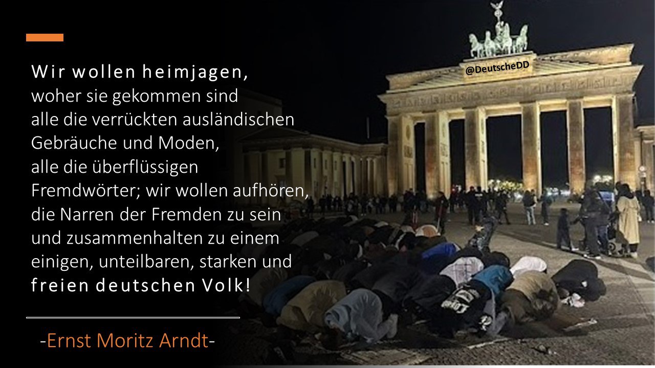 Medienbeitrag