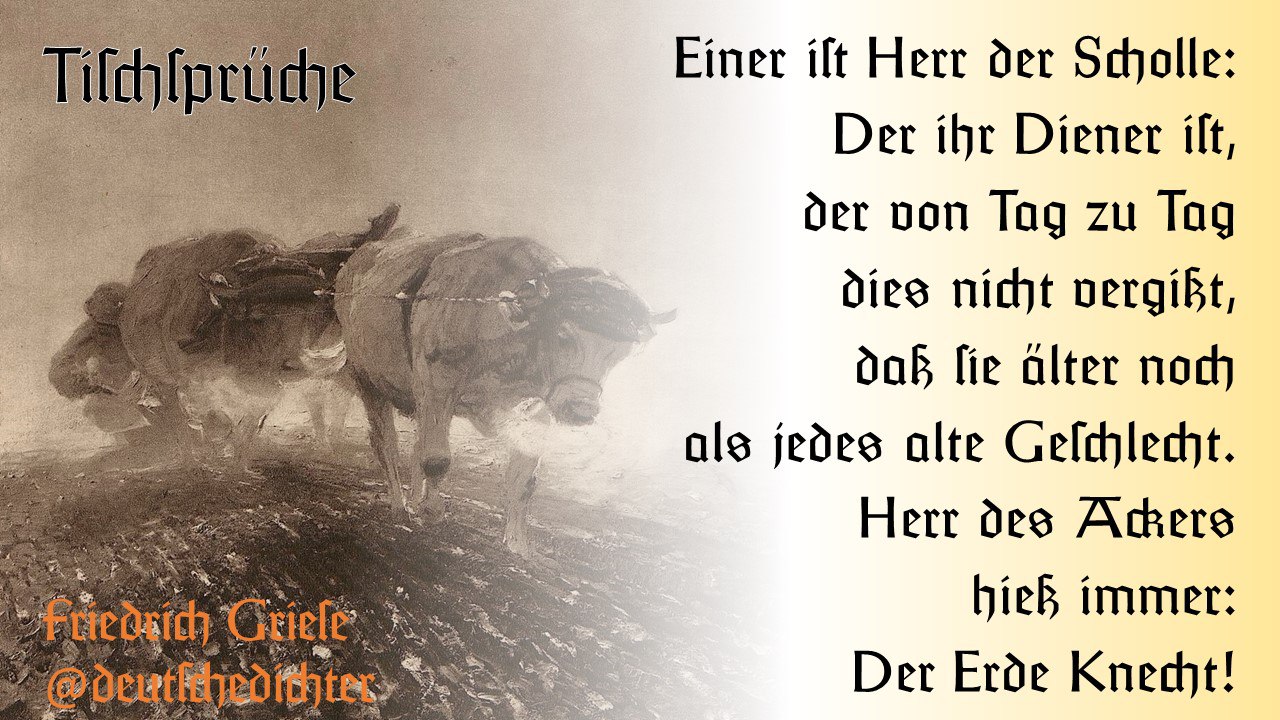 Dichtung am 2023-07-02