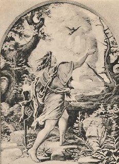 Vogel-Frei