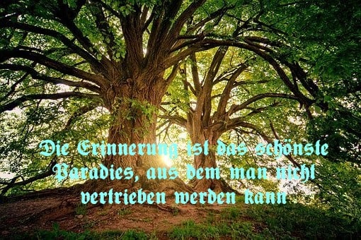 Deutschland. Ein Wintermärchen