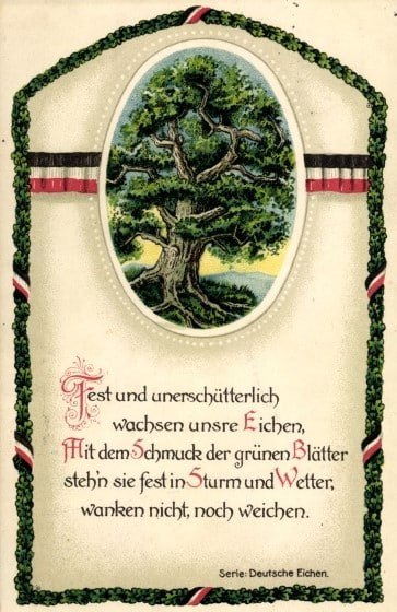Dichtung am 2024-08-25