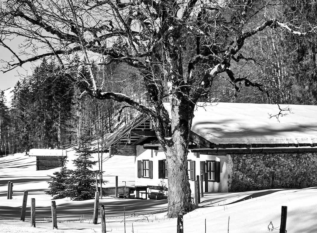 Bergwinter
