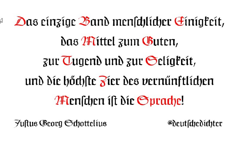 Medienbeitrag
