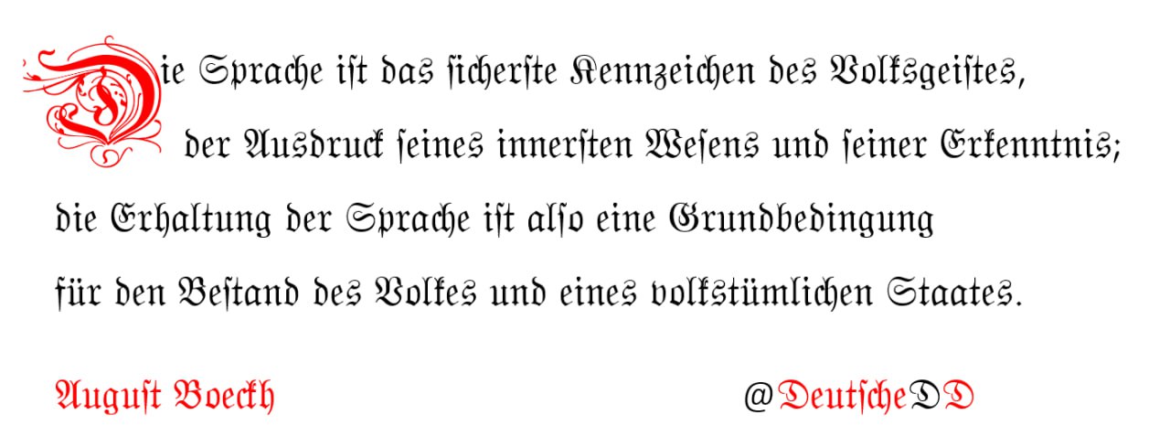 Medienbeitrag