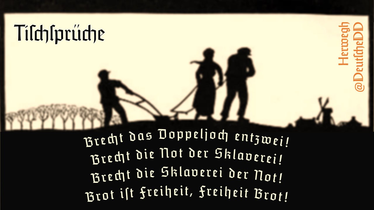 Dichtung am 2024-04-07