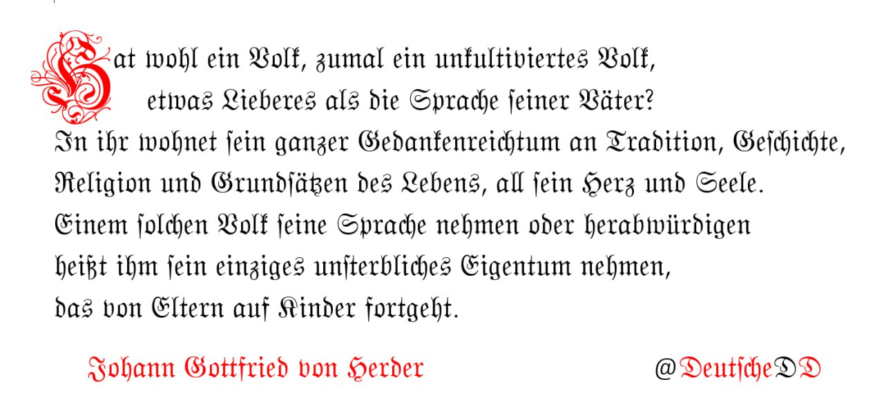 Medienbeitrag