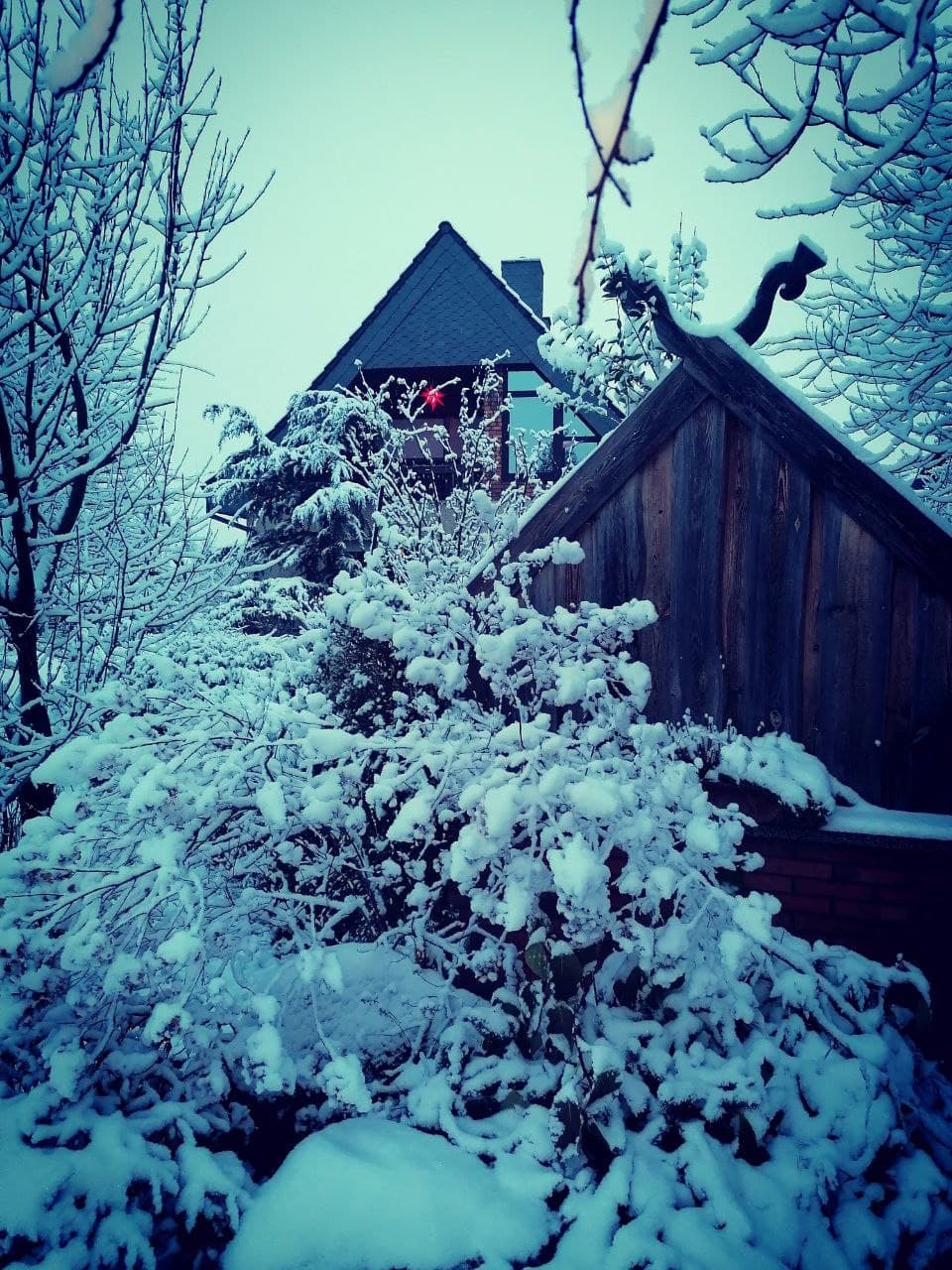 Der erste Schnee