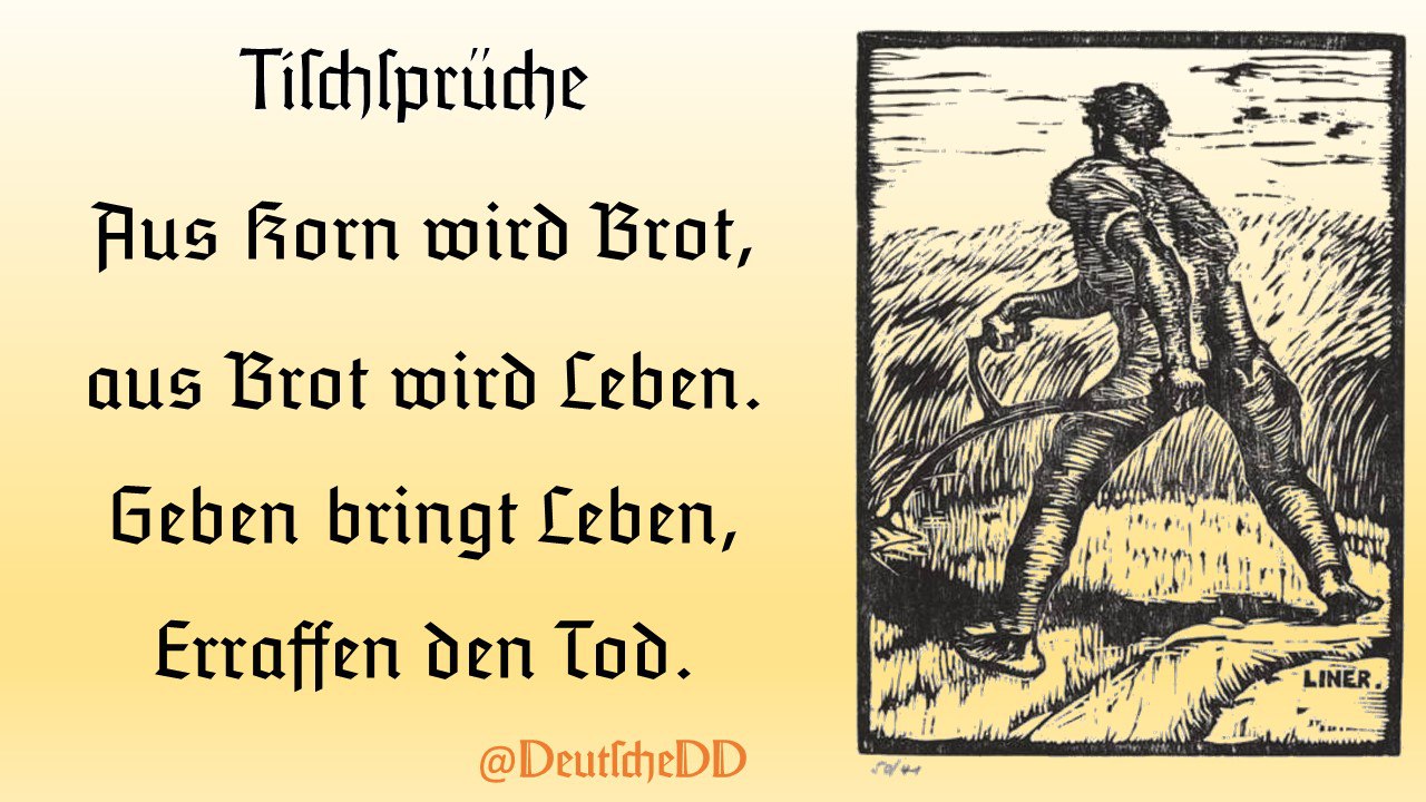 Medienbeitrag