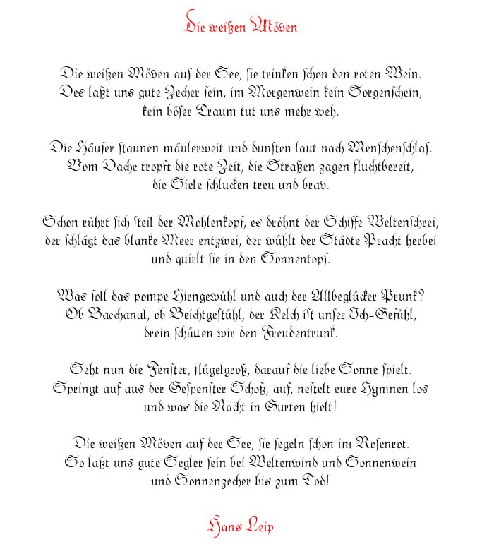 Medienbeitrag
