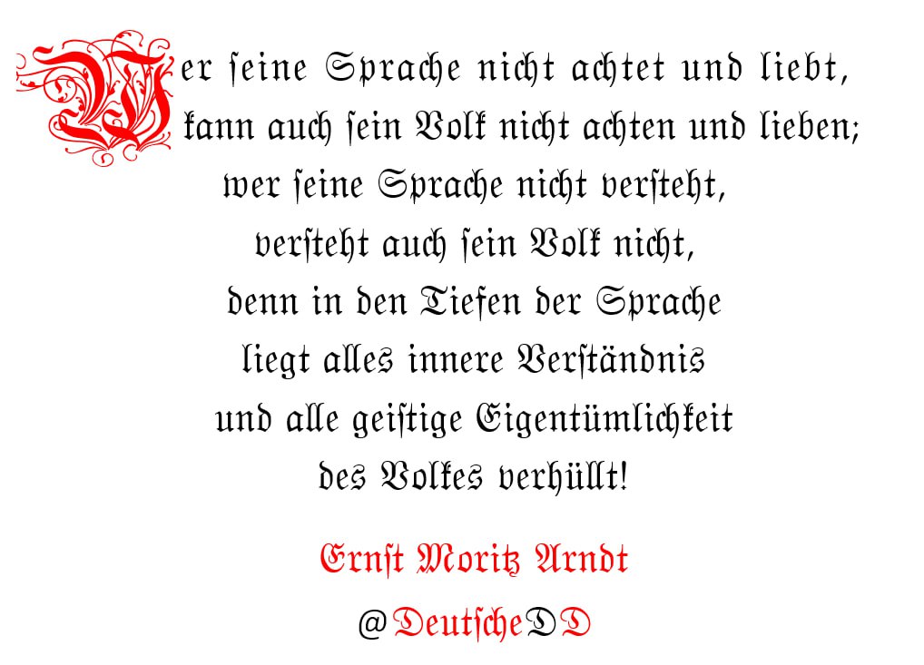 Medienbeitrag