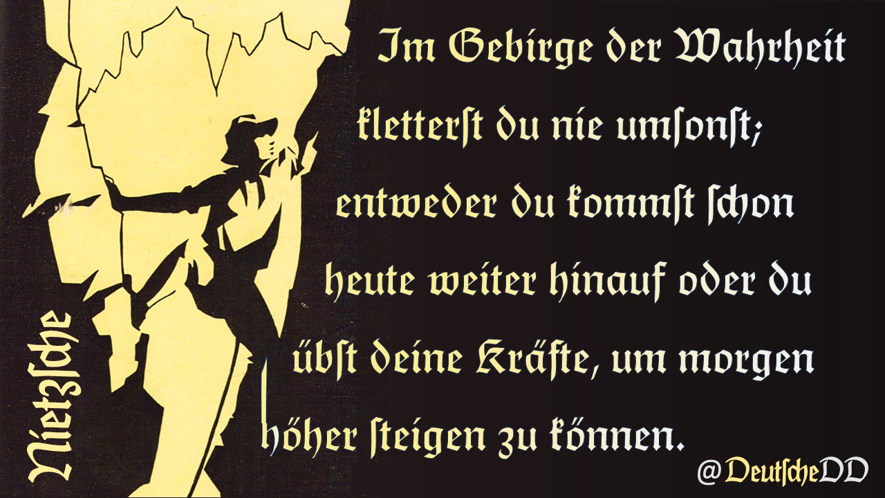 Medienbeitrag