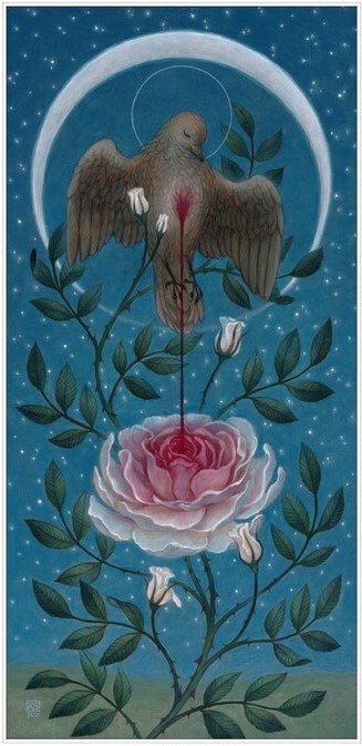 Ursprung der Rose