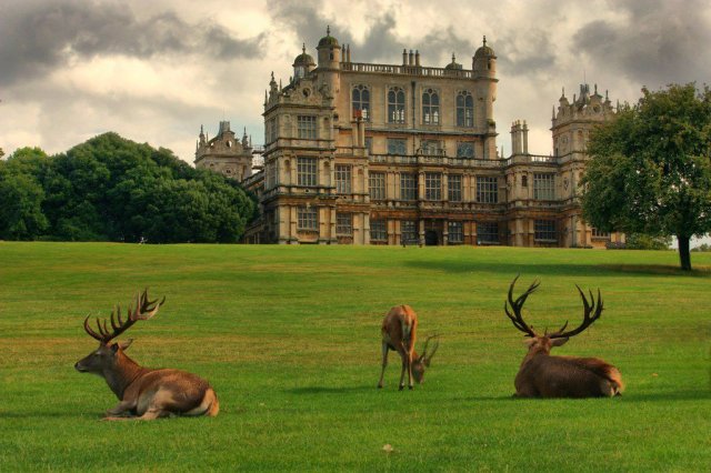 Wollaton Hall is an Elizabethan country house of the 1580s standing on a small but prominent hill in Wollaton Park, Nottingham, England.