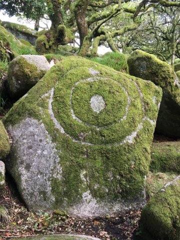 Wistman’s Wood. Dartmoor National Park, England.