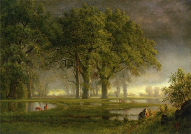 Sunglow, Albert Bierstadt (German-American)
