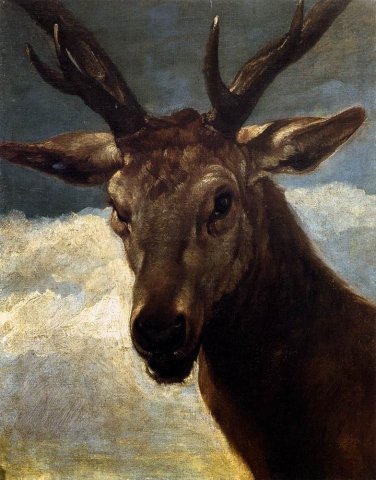 Head of a Stag (1634). Diego Velázquez (Spanish, 1599-1660).