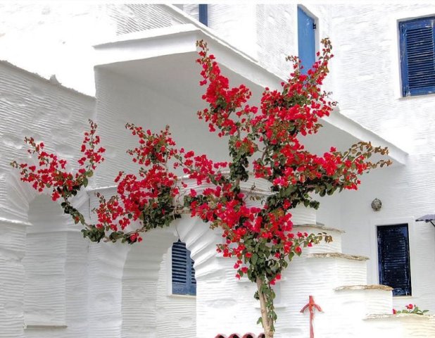 Andros Island, Greece.