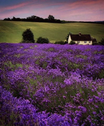 The Cotswolds, UK