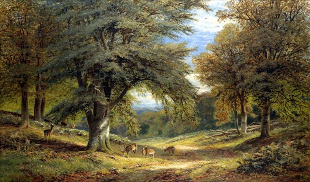 Deer on a Shaded Woodland Path (1874). Alfred Augustus Glendening, Sr. (English, 1840-1910).